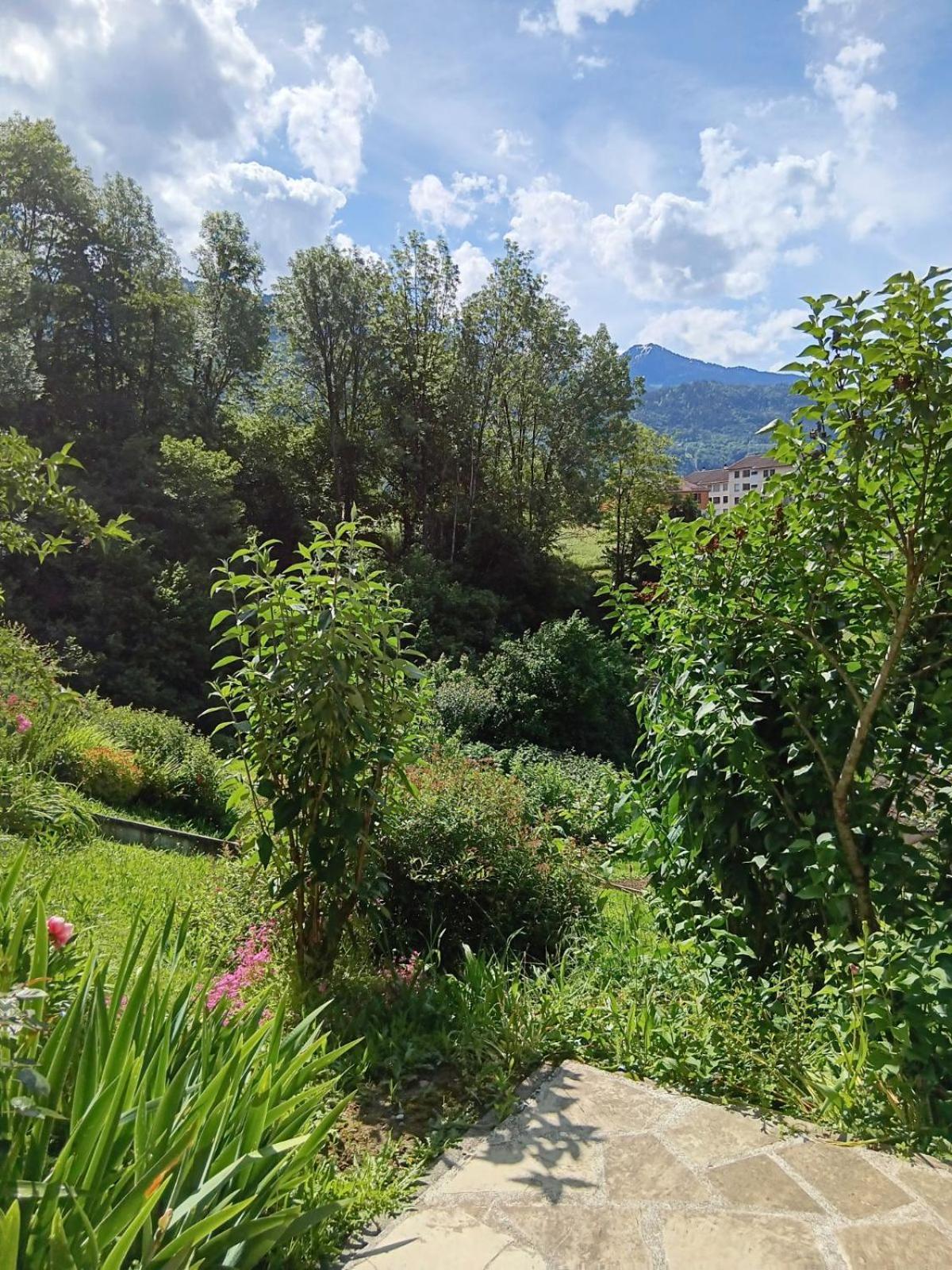 Appartement En Rez-De-Chaussee Avec Vues Sur Les Montagnes Ugine Exterior photo